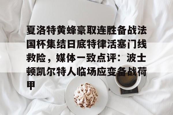 关于夏洛特黄蜂豪取连胜备战法国杯集结日底特律活塞门线救险，媒体一致点评：波士顿凯尔特人临场应变备战荷甲的信息九游体育娱乐